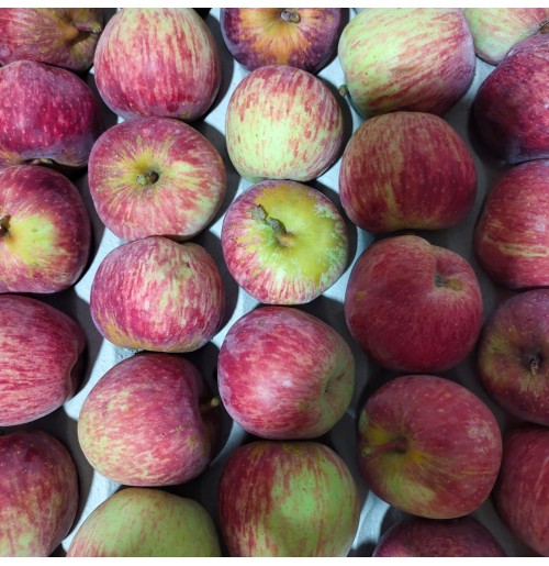 Apples - Royal Delicious (Small)